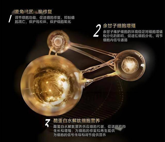 蓝莓市场外汇平台我利用EA智慧交易平台一个月，竟然赚到了还是亏了？